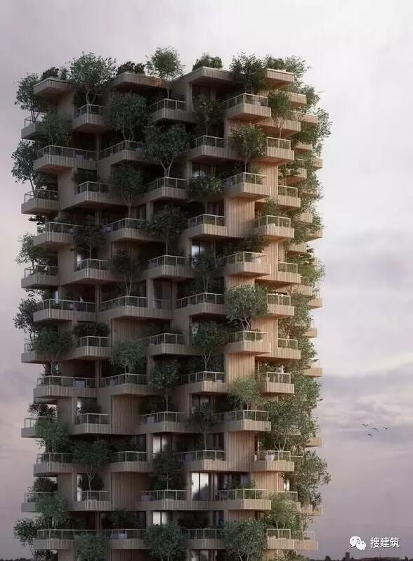 一座18层高的木结构住宅楼，另类“森林城市”的做法