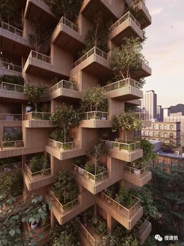 一座18层高的木结构住宅楼，另类“森林城市”的做法
